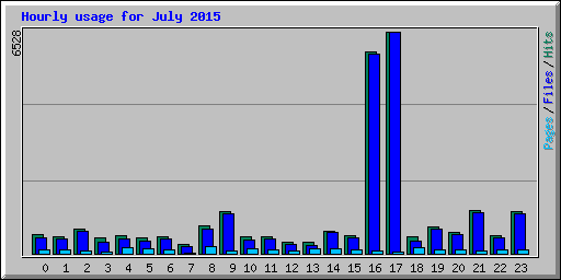 Hourly usage for July 2015